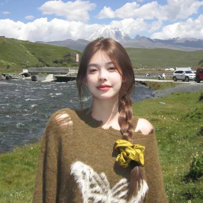 双子谜情
